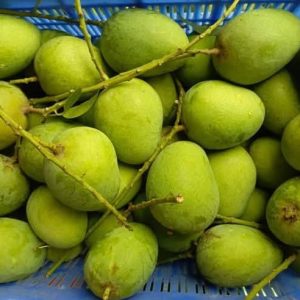 ১০ কেজি খিরসা পাত আম